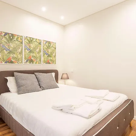 Terro Collection - Eca De Queiros Apartment *