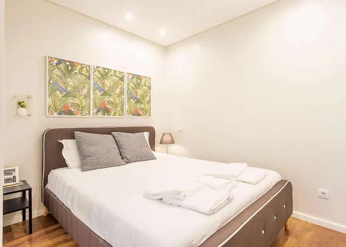 Terro Collection - Eca De Queiros 公寓 *